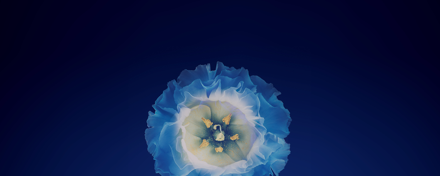 GettyImages-601074738-1500-overlay-croppped.png